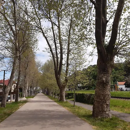 Jutta Vizkoezeli Nyaralo * Balatonboglar